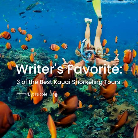 Nicole shares her favorite Tripster article: 3 of the Best Kauai Snorkeling Tours "There is so much to learn about Kauai's top attractions, and I love researching and writing about it because it's my bucket list destination too!" Kauai Snorkeling, Kauai Hotels, Kauai Vacation, Inflatable Rafts, Best Snorkeling, Beachfront Hotels, My Bucket List, Dinner Cruise, Bigger Boat