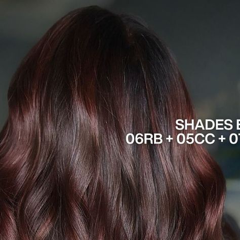 Redken on Instagram: "Rich, luxurious, and oh-so-dimensional 💫 @rosieslocks achieved this cherry-brunette using the #1 demi in the world*, Shades EQ 🖤 It's perfect for all your glossing needs while providing intense shine & condition to achieve your dream color, every single time. 

This client started at a level 6 at the base & mids, and level 8 at the ends. The full #RedkenRecipe below:
🩷 Global Gloss: Shades EQ 1.25oz 06RB + 0.25oz 05CC + 0.25oz 07CC + 0.25oz 05N
🩶 Styling: Quick Blowout Heat Protectant Spray

*Based on Kline 2023 Professional Hair Color Market" Shades Eq Mahogany Formula, Cherry Brunette, Cherry Cola Hair Color, Cherry Cola Hair, Heat Protectant Spray, Color Formulas, Cherry Brown, Redken Shades, Professional Hair Color