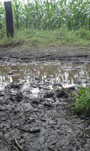 Mud Aesthetic, Poster Burger, Muddy Puddle, Mud Puddle, Course Ideas, Diorama Ideas, Quick Saves