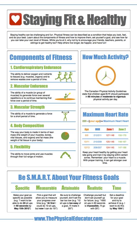 ThePhysicalEducator.com | Components of Fitness Infographic Physical Education Curriculum, Fitness Infographic, Physical Education Lessons, Pe Lessons, Pe Ideas, Physical Education Teacher, Health And Physical Education, Health Class, Staying Fit