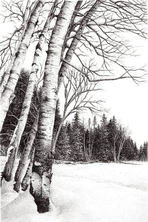 Snowy Landscape Drawing, Snow Ink Drawing, Pine Tree Drawing, Winter Drawings, Fineliner Art, Forest Drawing, Snow Forest, Landscape Sketch, Snowy Trees