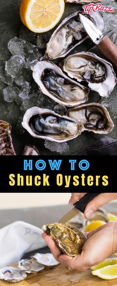 Learn How to Shuck Oysters quickly, easily and safely with this step-by-step guide! See how to do it without an oyster shucking knife along with how to clean oysters and how to cook oysters after shucking. #oysters How To Open Oysters Shells, How To Shuck Oysters At Home, How To Cook Oysters, How To Shuck An Oyster, Oysters At Home, Baked Oyster Recipes, How To Cook Garlic, Oyster Shucking, Cooked Oysters