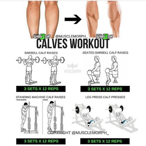 3,407 Likes, 15 Comments - MuscleMorph® (@musclemorph_) on Instagram: “Who DOESN'T want bigger calves ‍♂️Try this workout LIKE/SAVE IT if you found this useful.…” Calves Workout Gym, Calve Exercises, Big Back Workout, Calves Workout, Calf Workout, Bigger Calves, Calf Training, Calf Exercises, Big Calves