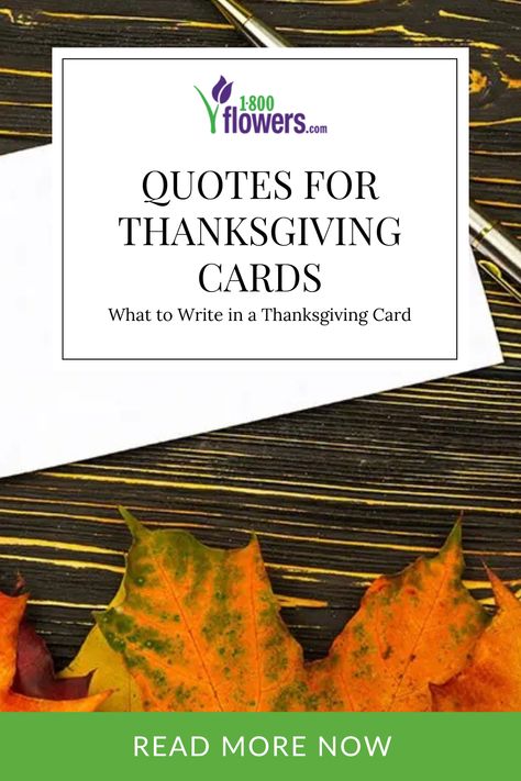 Searching for quotes for Thanksgiving cards to write the perfect Happy Thanksgiving message. Find the perfect Thanksgiving greeting quotes to write in your holiday cards. Thanksgiving Day Card Sentiments, What To Write In A Thanksgiving Card, Thanksgiving Notes To Friends, Thanksgiving Card Sayings, Thanksgiving Notes Thankful For, Thanksgiving Verses For Cards, Thanksgiving Card Sentiments, Thanksgiving Sayings For Cards, Thanksgiving Sentiments For Cards