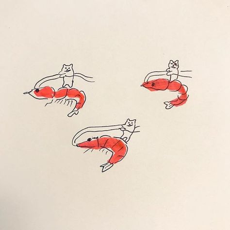 Art Prints Cute, Shrimp Doodle Drawing, Prawn Tattoos, Cowboy Shrimp Tattoo, Shrimp Illustration Cute, Cute Shrimp Art, Shrimp Drawing Simple, Shrimp Watercolor, Shrimp Illustrations