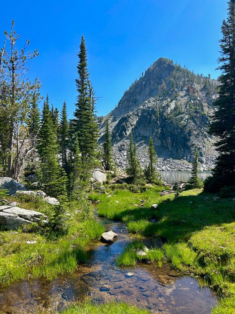 Oregon hiking, alpine lake, creek, pnw, summer, mountains Oregon Summer Aesthetic, Katie Core, Pnw Hikes, Pnw Summer, Oregon Aesthetic, Oregon Hiking, Oregon Lakes, American Roadtrip, Summer Mountains