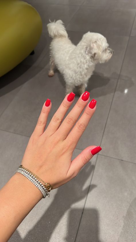 Red Gel Nails Short Square, Candy Red Nails Short, Red Nail 2023, Red Tapered Square Nails Short, Trendy Nails Red Square, Red Builder Gel Nails, Red Shirt Square Nails, Red Gel Nails Square, Summer Gel Extension Nails