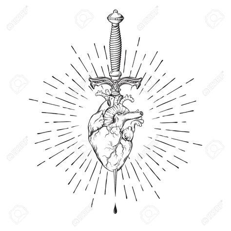 Heart Dagger Tattoo, Human Heart Tattoo, Anatomical Heart Drawing, Dagger Drawing, Ems Tattoos, Anatomical Heart Tattoo, Tattoo Outline Drawing, Brain Art, Heart Sketch