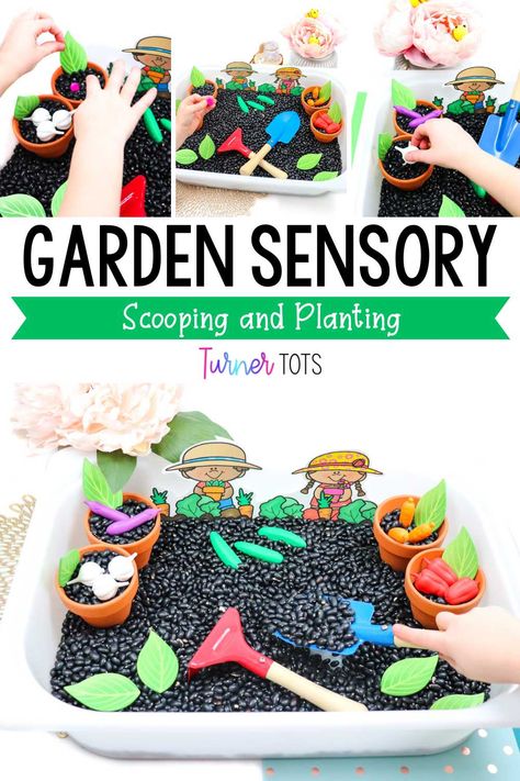 Plant Sensory Bin, Vegetable Sensory Bin, Adam And Eve Sensory Bin, Garden Theme Sensory Play, Preschool Garden Sensory Bin, Black Bean Sensory Bin, Garden Themed Sensory Bin, Planting Flowers Sensory Bin, Plants Science Activities