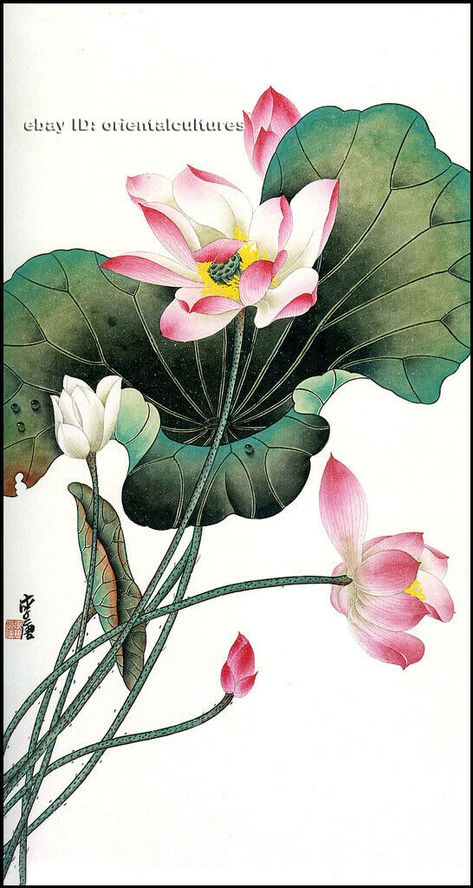 Lotus Flower Art, Lotus Painting, Red Lotus, Hand Embroidery Kits, Chinese Brush Painting, Art Japonais, Chinese Painting, Natural Silk, Silk Painting