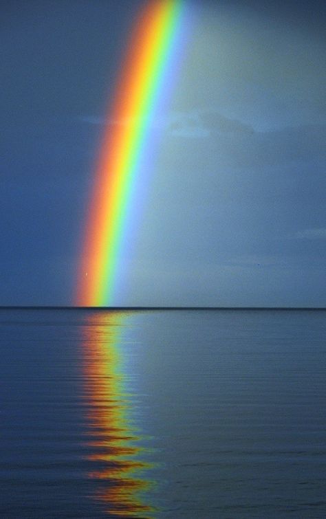 Wow -- such a contrast between the dark storm of today, melding into the hope of tomorrow! God's Promise, God's Promises, Love Rainbow, Lake Ontario, Beautiful Rainbow, Beautiful Sky, Science And Nature, A Rainbow, Amazing Nature