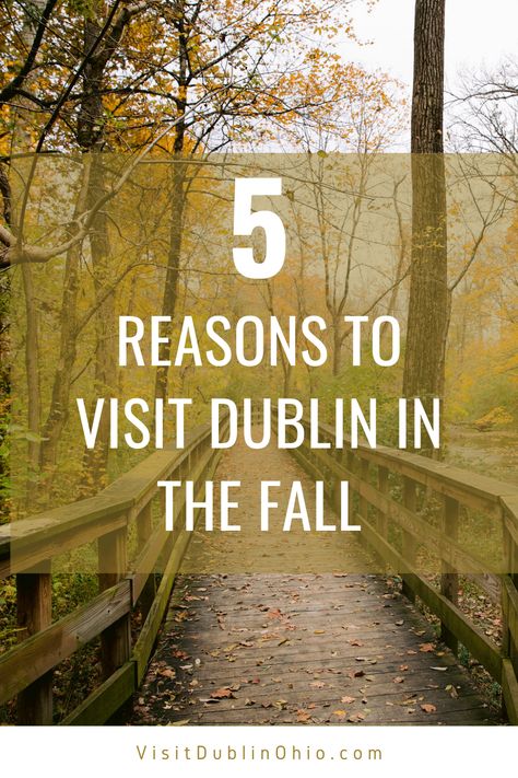 Ohio Fall, Dublin Ohio, Destination Marketing, Visit Dublin, Ohio Travel, Fall Things, Best Seasons, Fall Fun, In The Fall