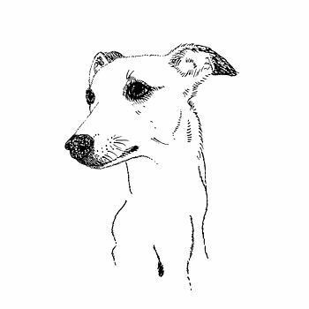 Italian Greyhound Drawing, Italian Greyhound Tattoo, Whippet Illustration, Whippet Tattoo, Whippet Drawing, Greyhounds Clothes, Greyhound Tattoo, Art Eras, Greyhound Art