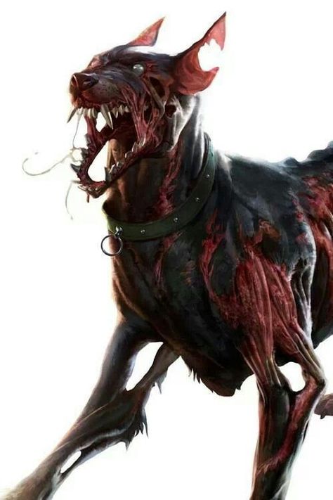 Resident Evil Monsters, Dog Zombie, Zombie Dog, Zombie Drawings, Resident Evil Movie, Arte Zombie, Zombie Vampire, Zombie Monster, Zombie Art