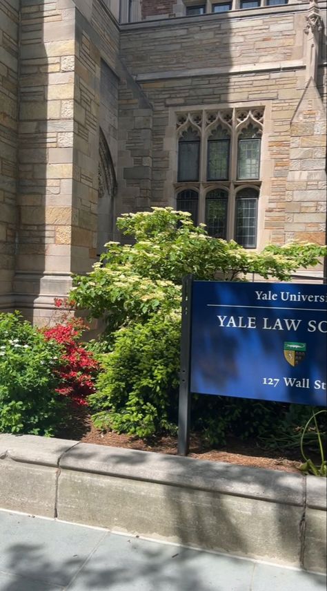 Yale Aesthetic, Ivy College, Ivy Aesthetic, Ivy League Aesthetic, Yale Law, University Inspiration, Harvard Yale, College Vision Board, Law School Inspiration