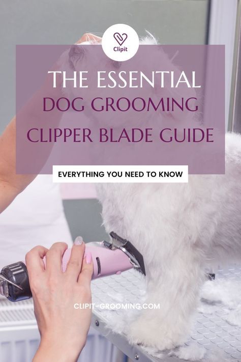 Clipper Lengths, Dog Grooming Diy, Double Doodle, Dog Grooming Clippers, Pet Grooming Supplies, Dog Clippers, Dog Haircuts, Scissor Skills, Grooming Tips