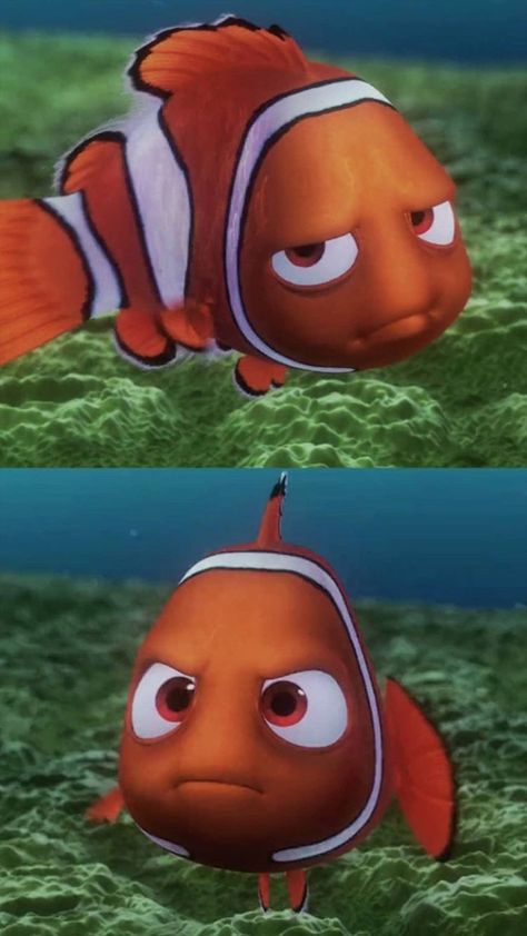 Nemo And Dory, Dory Nemo, Finding Nemo 2003, Land Of Ooo, Disney Finding Nemo, Disney Pixar Characters, Pixar Characters, Finding Dory, Finding Nemo