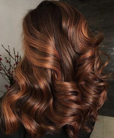 Mahogany With Highlights, Amber Highlights In Brown Hair, Dark Brown Hair With Ginger Highlights, Red Hair With Brown Highlights, Light Brown Caramel Hair, Auburn Hair With Lowlights, Brown Hair With Ginger Highlights, Carmel Balayage Brunettes, Copper Hair Highlights