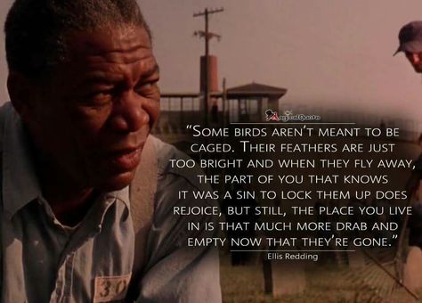 Red Shawshank Redemption Quotes, Redemption Quotes, Movie Character Quotes, Tim Robbins, Cinema Quotes, Movie Dialogues, The Shawshank Redemption, Man Up Quotes, Morgan Freeman