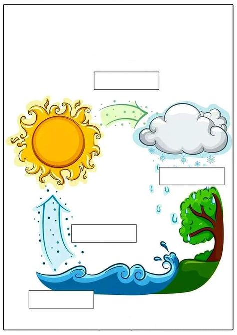 Water Cycle For Kids, Water Cycle Experiment, Rain Cycle, Weather Experiments, Weather Activities For Kids, Cycle Drawing, Cycle For Kids, Water Experiments, Stem Experiments