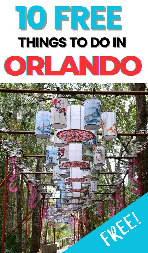 10 Free Things to do in Orlando, Florida - Things To Do In Orlando Things To Do Orlando, Celebration Orlando, Orlando Florida Vacation, Things To Do In Orlando, Orlando Trip, Walt Disney World Orlando, Lake Eola, Visit Orlando, Orlando Travel