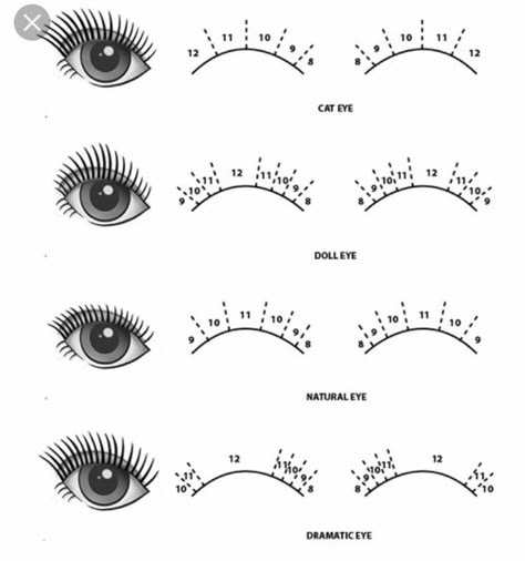 Doll Eye Mapping Eyelash Extensions, Cat Eye Eyelash Extensions Map, Doll Lash Extensions Map, Lash Map Natural Cat Eye, Eyelash Extensions Doll Eye, Cat Eye Mapping Eyelash Extensions, Natural Cat Eye Lashes Map, Doll Eye Lash Mapping, Doll Eye Mapping