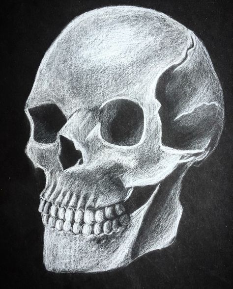 Skull black and white drawing Skull On Black Paper, Skull Black And White, Black Paper Drawing, 3d Skull, White Drawing, Art Curriculum, Chalk Drawings, White Pencil, Skull Drawing