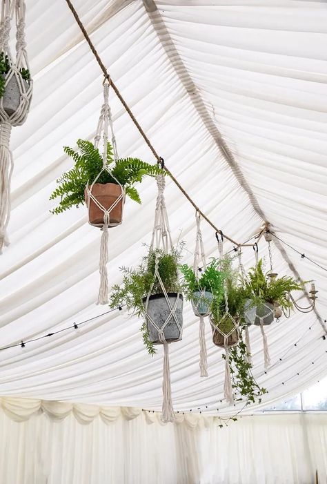 Hanging Plant Wedding Decor, Hanging Plants Wedding Decor, Houseplants Wedding Decor, Live Plants Wedding Decor, House Plant Wedding Decor, Hanging Plants Wedding, Potted Plants Wedding Decor, House Plant Wedding, Houseplant Wedding