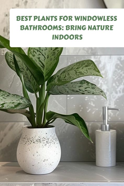 Best plants for windowless bathrooms: Bring nature indoors. Plant Ideas Bathroom, Best Bathroom Plants No Light, Plants For Bathroom With No Windows, No Light Plants Indoor, Best Indoor Plants For Low Light, Plant For Bathroom With No Windows, Humidity Plants, Bathroom Plants No Sunlight, Bathroom Plants Low Light