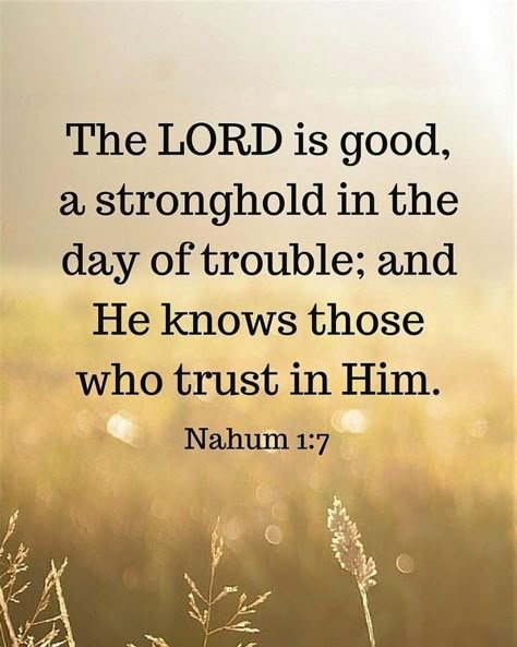 The LORD is good, a stronghold in the day of trouble; and He knows those who trust in Him.  Nahum 1:7 Nahum 1 7, Strong Tower, Trust In Him, Comforting Bible Verses, Favorite Scriptures, Beautiful Bible Verses, The Lord Is Good, Awesome God, Bible Study Verses