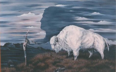 The White Buffalo Great White Buffalo, White Buffalo Woman, Buffalo Pictures, Bison Photo, Native American Animals, Buffalo Painting, Buffalo Animal, American Indian Artwork, Wildlife Quilts