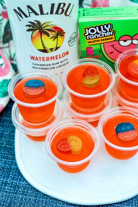 How To Make Jolly Rancher Watermelon Jello Shots Jello Shots Watermelon, Candy Jello Shots, Jolly Rancher Jello Shots, Malibu Jello Shots, Alcohol Jello Shots, Watermelon Shots, Jolly Rancher Jello, Jolly Rancher Drink, Hello Shots