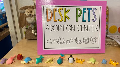 Desk Pets | Swoop into Kindergarten Desk Pets, Desk Pet, Book Bins, Pet Adoption Center, Adoption Day, Make Blanket, Keeping A Journal, Pet Signs, Time Activities