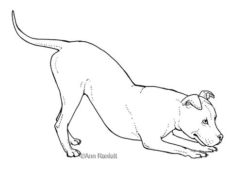 dingo dog drawing - Google Search | Idaho Symbols | Pinterest ... Dogs Drawing, Dingo Dog, Dog Names Unique, Bow Drawing, Ideas For Dogs, Dog Playground, Dog Sketch, Wolf Dog, Wolf Art