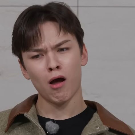 Vernon Funny Pics, Vernon Funny Face, Vernon Memeable Face, Vernon Laughing, Vernon Funny, Svt Stickers, Svt Funny, Seventeen Stickers, Aliens Meme