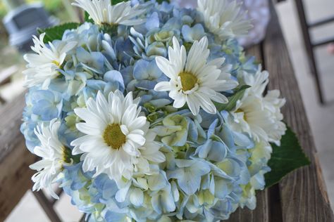 Prom Bouquet Ideas Light Blue, Wedding Daisy Bouquets, Hydrangeas And Daisies, Blue Wedding Flowers Bouquet White Hydrangeas, Daisy And Hydrangea Bouquet, Wedding Bouquet Blue Hydrangea, Daisy Wedding Bouquet, Hydrangea Daisy Bouquet, Daisy And Blue Bouquet