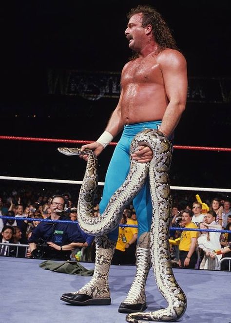 Wcw Wrestlers, Jake The Snake, Jake The Snake Roberts, Wwf Superstars, World Championship Wrestling, Wrestling Posters, Body Slam, Professional Wrestlers, Wwe Tna