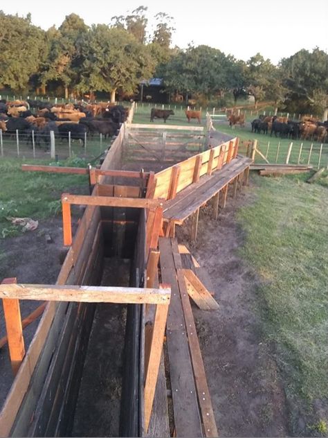 Cow Corral Ideas, Farm Gates Entrance, Cattle Facility, Cattle Corrals, Horse Farm Ideas, Farm Hacks, Raising Farm Animals, Farm Plans, Farm Gate