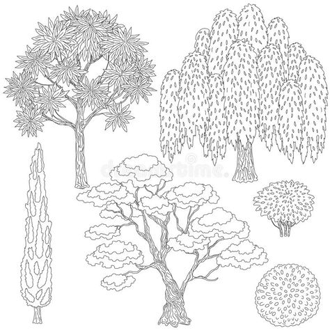 Black and white outlines trees and bushes. vector illustration Bush Drawing, Texture Sketch, Tree Coloring, Tree Outline, Tree Sketches, Tree Coloring Page, Plant Vector, Winter Tree, Plant Drawing