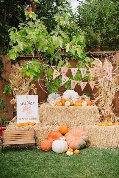 Fall Photo Booth Ideas Hay Bales, Fall Festival 1st Birthday Party, Fall Themed 1st Birthday Party, Pumpkin Patch Party Decorations, White Pumpkin Birthday Party, Fall Bday Decor, Fall Themed Photo Booth Backdrop, Mini Pumpkin Patch Ideas, Simple Fall Photo Backdrop