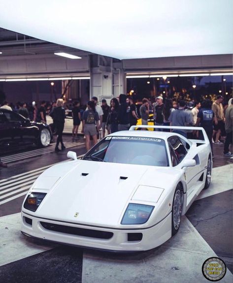 #miami #miamibeach #ferrari #ferrariclassiccars #ferrarilaferrari #ferrari488 #cars #carsofinstagram #carstagram #white #f40 #lifestyle #life #cool #amazing Pontiac Fiero, White Ferrari, Ferrari Enzo, Jdm Wallpaper, Ferrari Laferrari, Ferrari F40, Ferrari Car, Ferrari F1, Pretty Cars