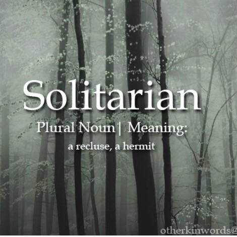 Solitarian (n) ..a recluse, a hermit Recluse Quotes, Hermit Aesthetic, Word Nerd, Unusual Words, Rare Words, Word Definitions, Words To Use, Word Of The Day, More Than Words