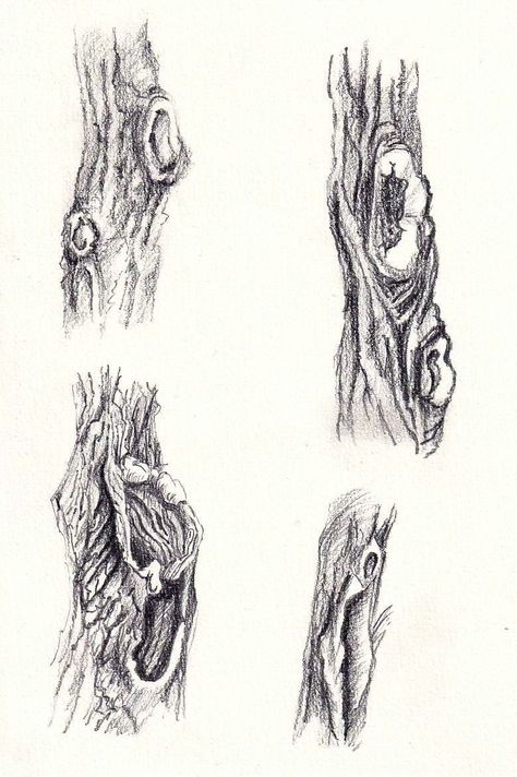 Incredible Pencil Tree Drawings You Must See Tree Bark Sketch Drawings, Tree Detail Drawing, Trees Pencil Drawing, Tree Bark Drawing Texture, Tree Sketches Pencil, Tree Texture Drawing, Black And White Tree Drawing, Tree Bark Drawing, Pencil Drawing Nature