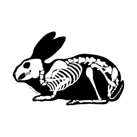 Bunny Skeleton, Black Rabbit Art, Rabbit Skull Drawing, Rabbit Skeleton Tattoo, Animal Skeleton, Rabbit Skeleton Drawing, Bunny Black And White, Goth Rabbit Tattoo, Rabbit Skeleton