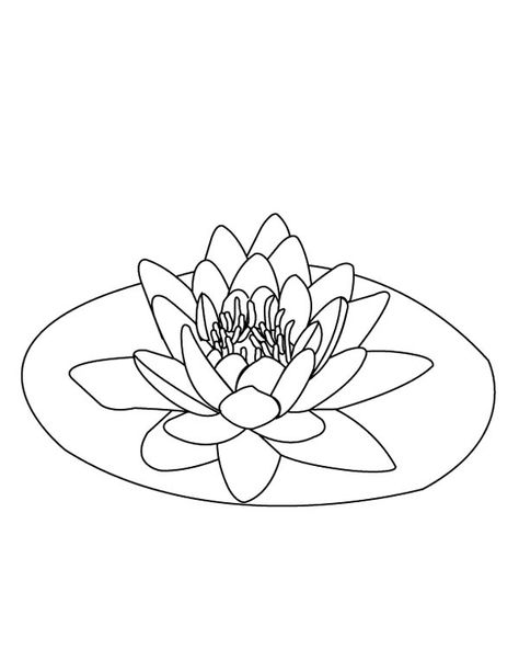 Lily Pad, : Lily Pad on the Middle of Pond Coloring Page Lily Pad Drawing, Water Lily Drawing, Lotus Flower Drawing, Water Lily Tattoos, Lilies Drawing, Flower Tattoo Drawings, Lily Tattoo, Cat Coloring Page, Painting Rocks