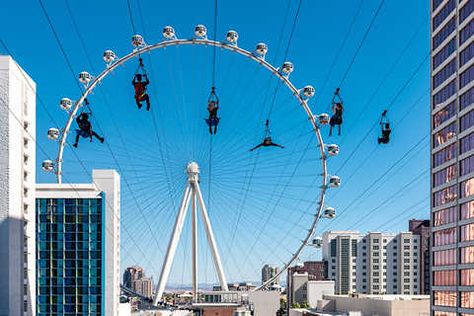 fasttrack ticket fly linq zipline Vegas Zipline, Linq Las Vegas, Ticket Fly, Las Vegas With Kids, Las Vegas Attractions, Vegas Attractions, Las Vegas Boulevard, Zip Lining, Zip Line