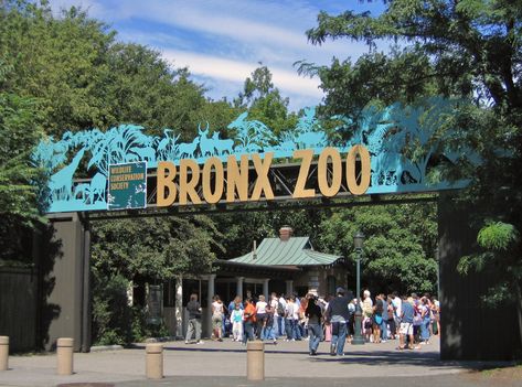 Visit the Bronx Zoo in New York - the world's largest urban zoo and get up close to more than 600 species from around the globe! Kota New York, Gros Morne, Zoo Photos, The Bronx New York, Voyage New York, Bronx Zoo, Battery Park, Virtual Field Trips, The Cloisters