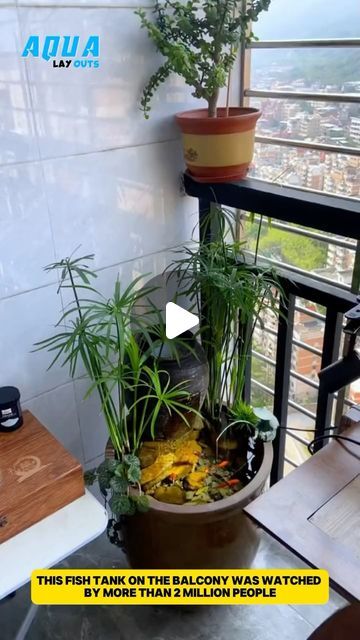 Aqua Layouts on Instagram: "make your own clean fish tank at home #fish #fishtanks #fishtank #aquarium #aquariumfish #viralvideos #viral" Fish Aquarium Ideas For Living Room, Clean Fish Tank, Aquarium At Home, Living Room India, Cleaning Fish, Aquarium Fish, Fish Tank, Garden Plants, Make Your Own