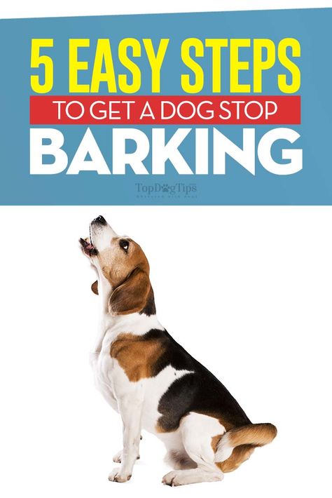 Stop Puppy Barking, Dog Training Barking, Puppy Barking, Stop Dog Barking, Dog Behavior Problems, Dog Training Treats, House Training Dogs, Dog Training Advice, Dog Brain