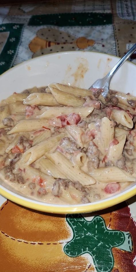 Rotel Pasta Delight, Rotel Pasta Ground Beef, Rotel Pasta, Protein Pasta Recipes, Ground Beef Pasta, Protein Pasta, Best Pasta Salad, Dump Meals, Beef Pasta